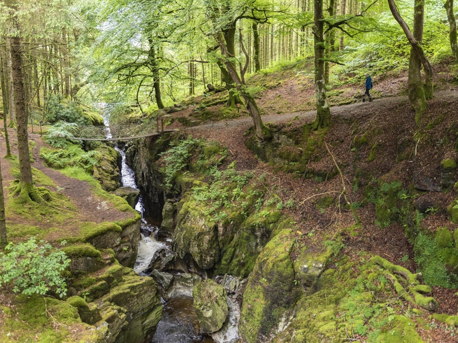 Walking on the Ystwyth Gorge walk at Hafod, Ceredigion