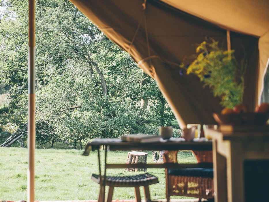 View from tent of Nantseren meadow