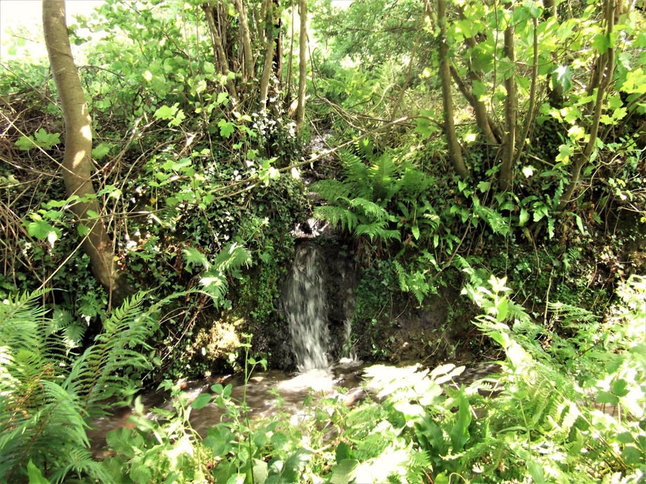 Natural water feature