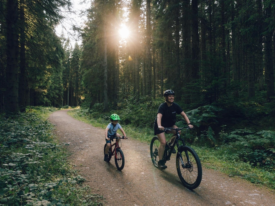 Cycling at Bod Petryal, Clocaenog Forest
