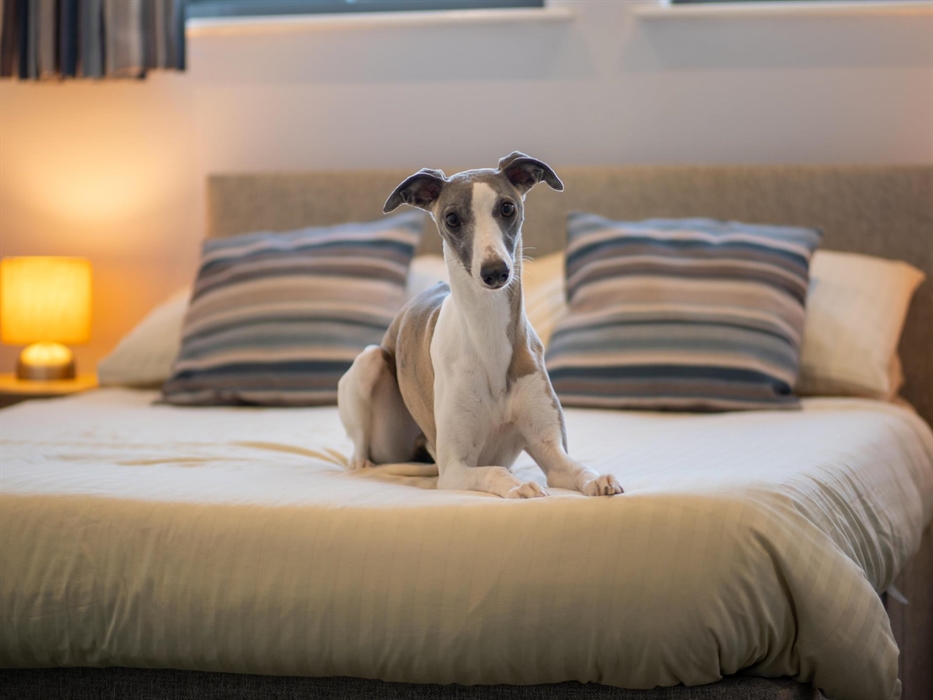 Harbour Stays - The Marine Centre. Dog Friendly