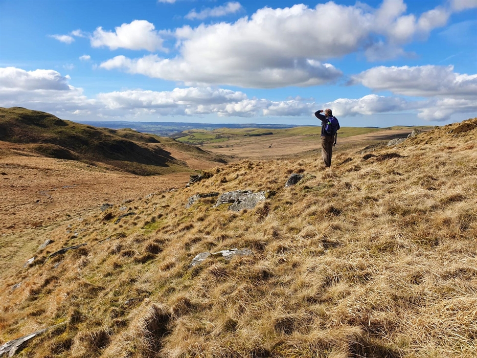 Remote scenery near Teifi Pools in the foothills of the Cambrian Mountains.