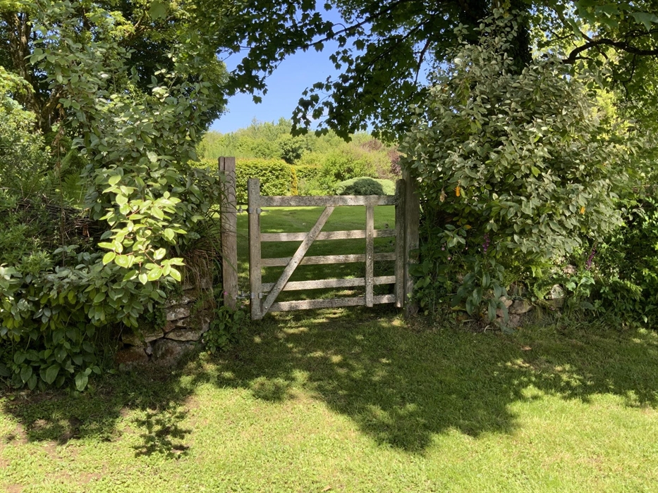 Looking into the rear garden and woods of the Grange