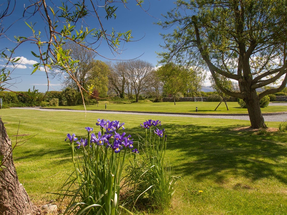 Cerrig y Barcud Cottages set back from large lawns