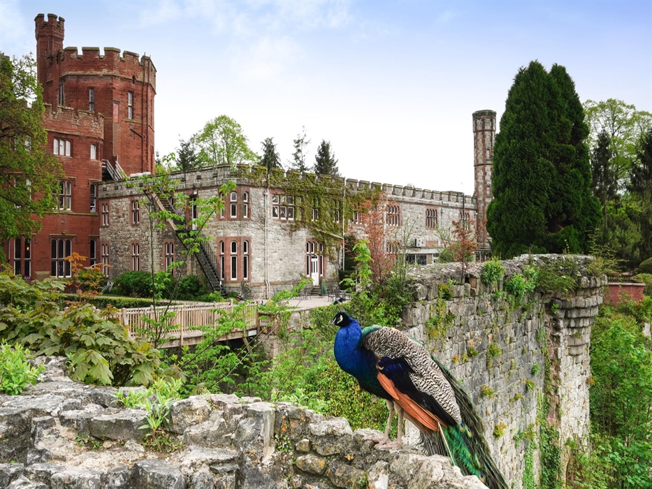 Historic grounds, stunning gardens, panoramic views, plus a prode of peacocks