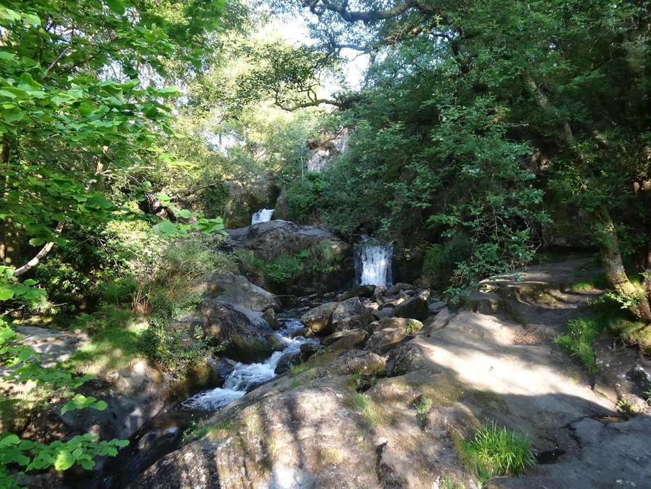 Only 10 minutes away from Dolgoch Holiday Homes a scenic spot for walks, wild swimming or drinks and lunches at Tyn Y Cornel hotel