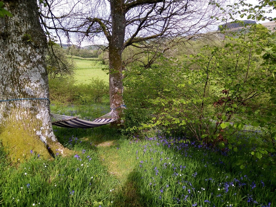 Read, snooze or just enjoy the views of Mid Wales.