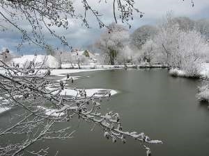 A beautiful winter scene at Nineoaks
