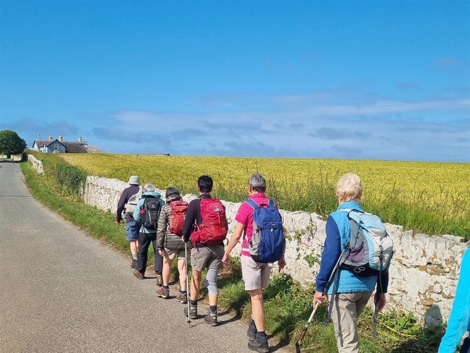 Group of hikers on Pembrokeshire Coast Path