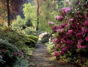 Colby Woodlands Garden