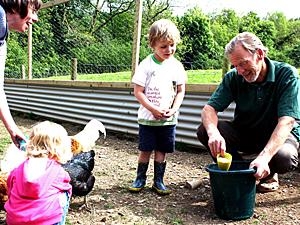 Daily animal feeding sessions with Farmer Malcolm