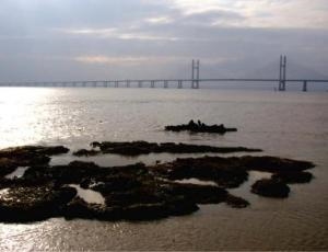 Black Rock Lave Net Fishery