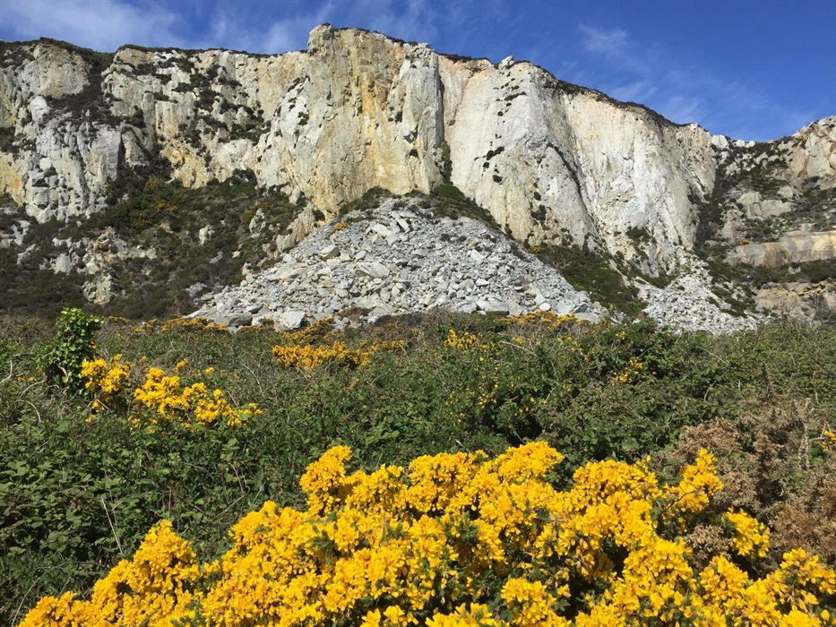 Quartzite, a very hard massive rock in Breakwater Quarry from where it was quarried to build a huge embankment on which the Breakwater sits.