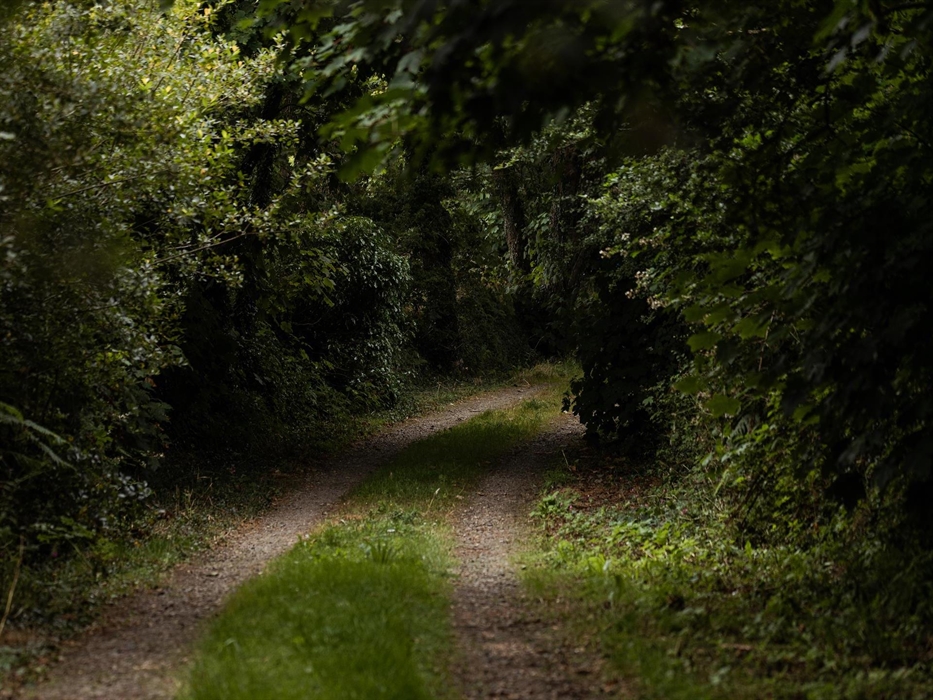 Lower Lochturffin Driveway