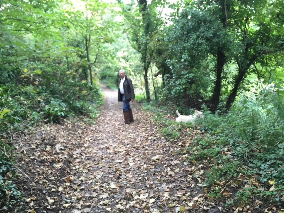 Woodland walk to beach