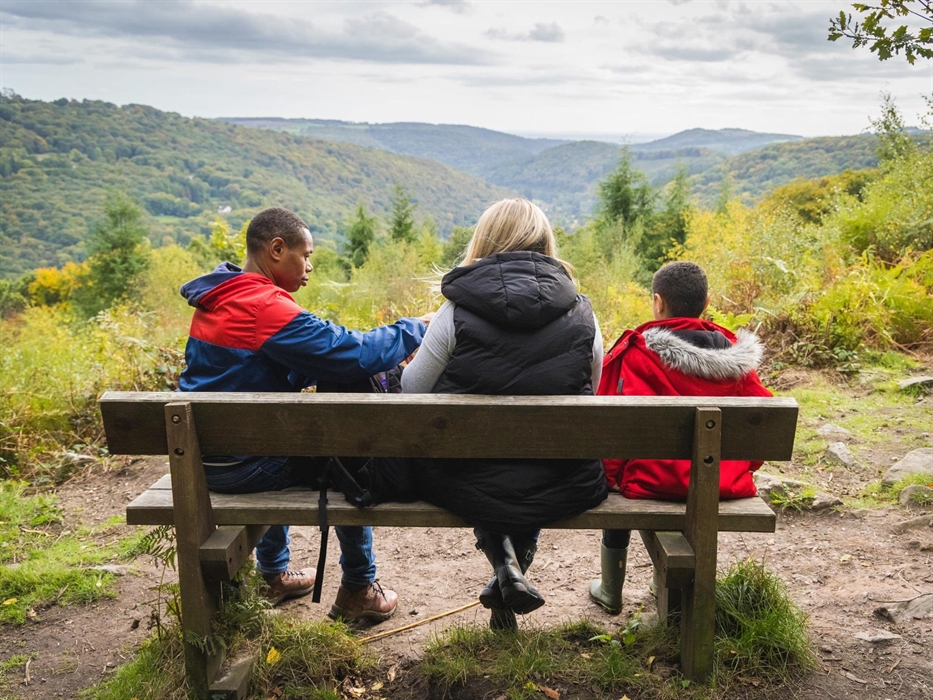 Duchess Ride Viewpoint, Whitestone