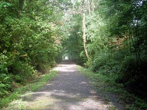Ystwyth Trail (Stage 2)