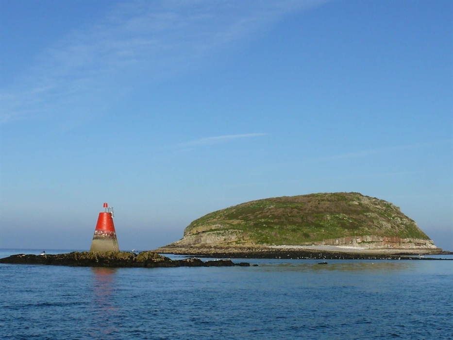 Puffin Island Seacoast Safaris