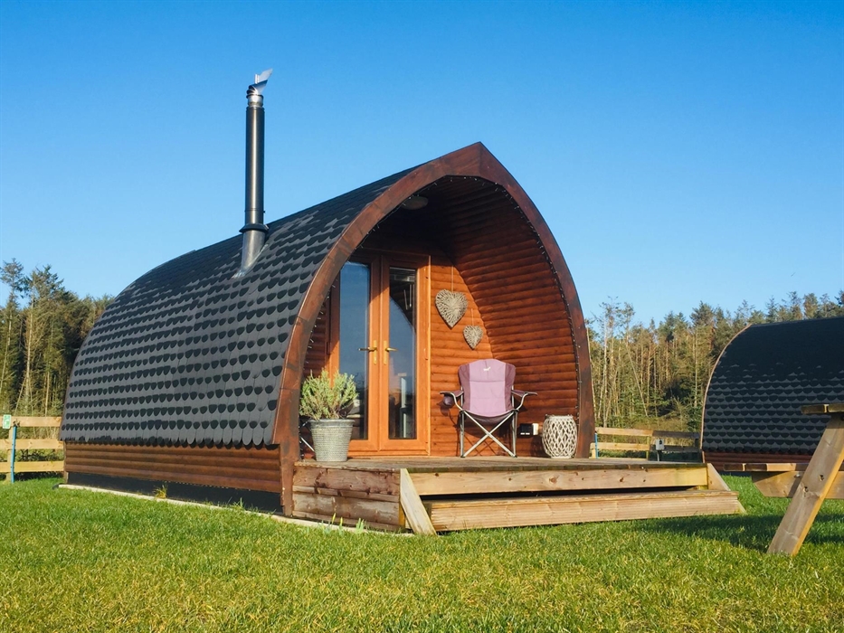 Caban moethus yn llygad yr haul