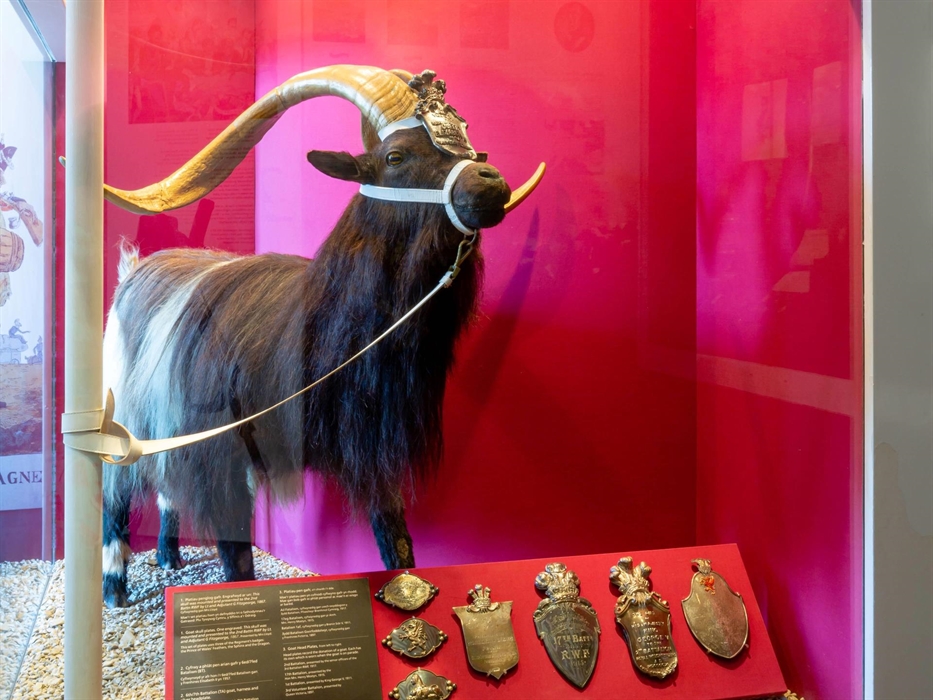 (Image: Paul Sampson)