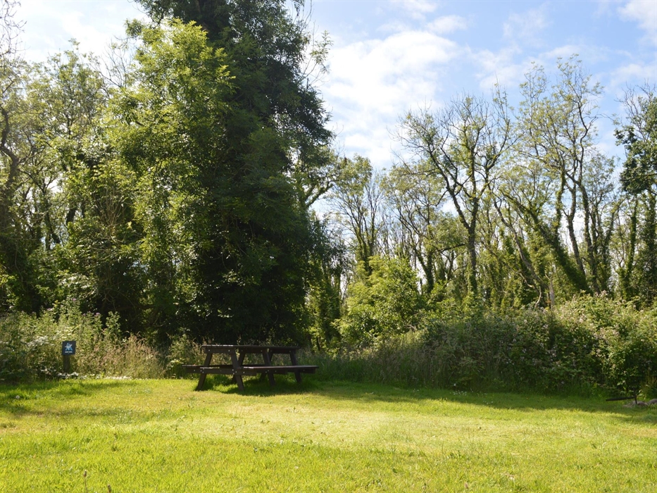 Grey Seal Camping Pitch