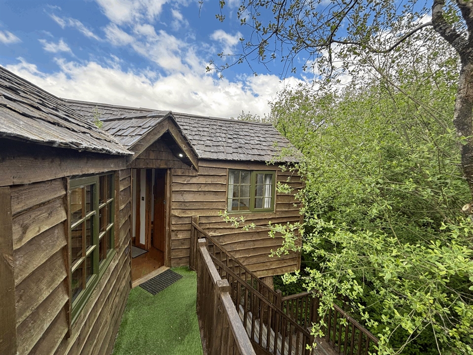 Cuckoo's Nest Treehouse