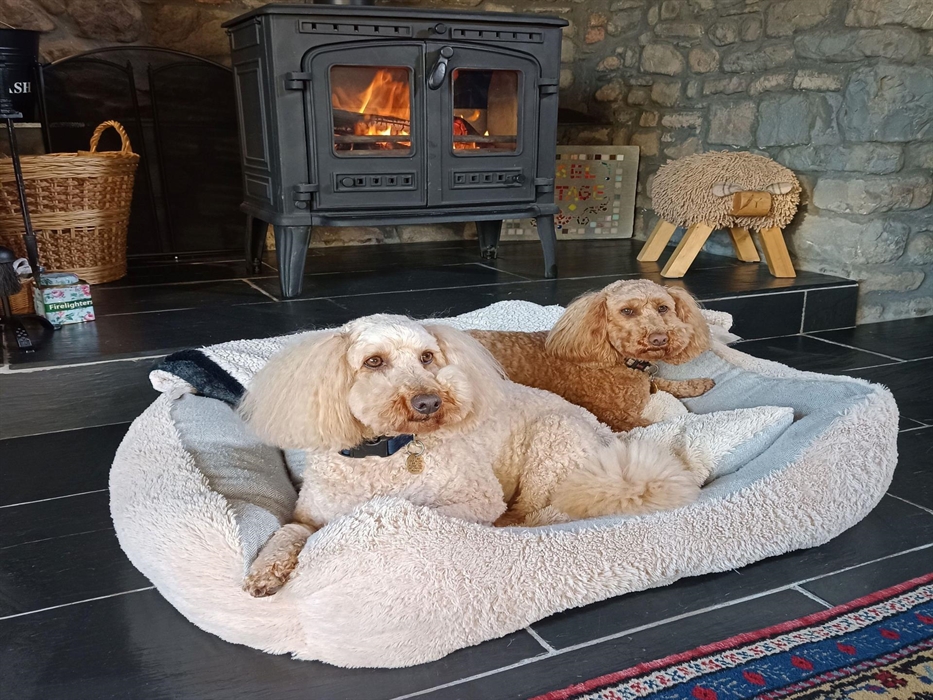 Woodburner, Dog Friendly, Dogs Stay Free, Rural Retreat, Walks from the Door, Spacious and Cosy Living Room, Winner of Best Dog Friendly Business in C