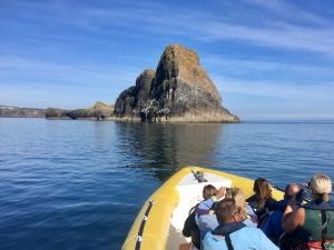 Sea Serpent at Worms Head