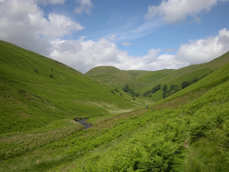 In the Doethie valley