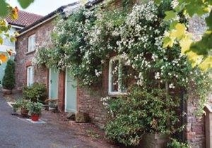 Tor-y-Mynydd Holiday Cottages