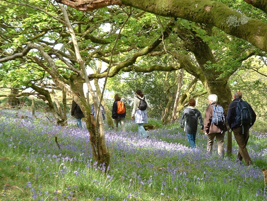 Image Credit: Dragon Trails