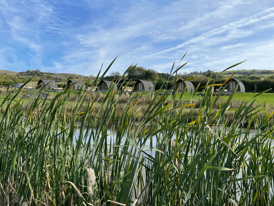 Our wildlife pond and small lake have brought so much wild life to the area but be rest assured, these are fenced off from the campsite but without sp