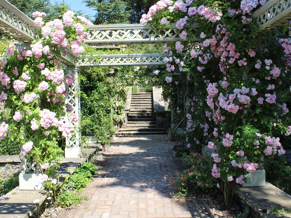 Delicate pink blooms of a climbing rose cover the pergola leading between the lower Rose Terrace and Lily Terrace at Bodnant Garden, Conwy, North Wale
