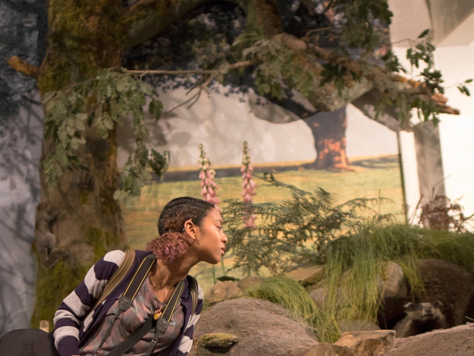 Natural History gallery