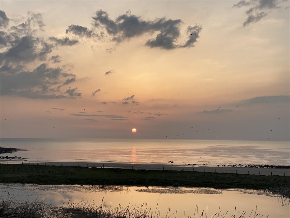 the wildlife pond and beach at sunset