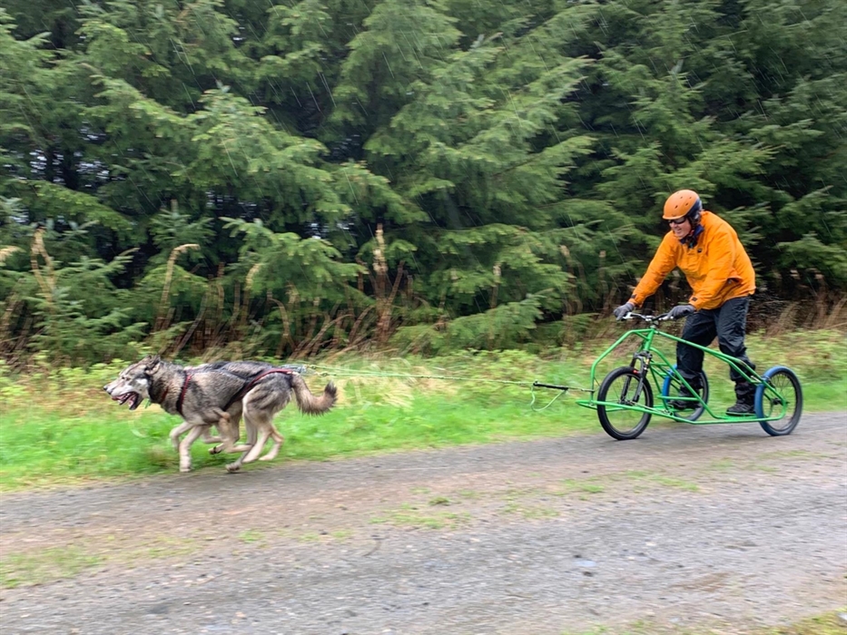 Intro to Mushing Adventure