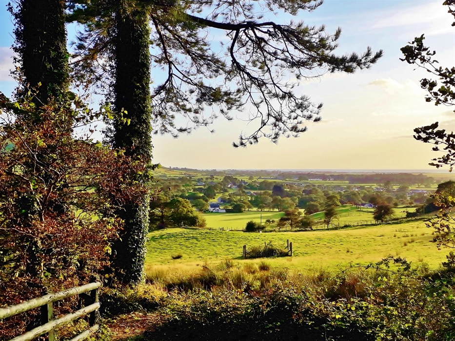 The sight of the sea will tempt you down for a day out at the Beach!