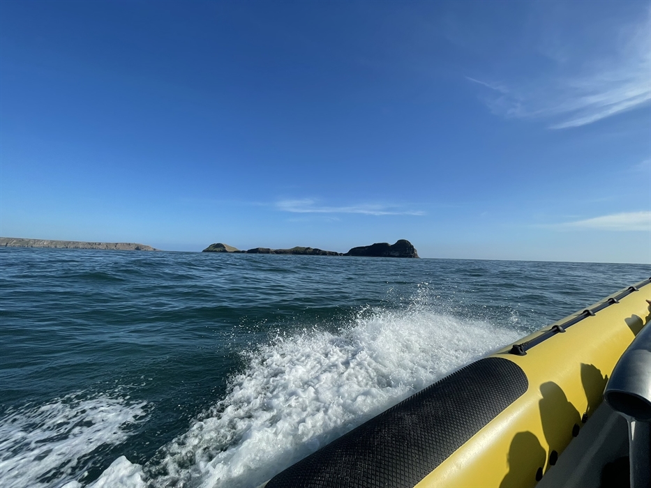 Worm's Head, Rhossili