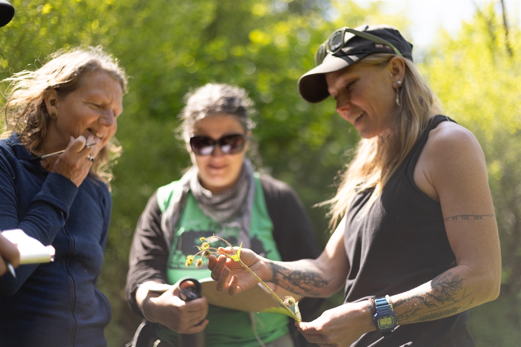 Looking at plants on a foraging course