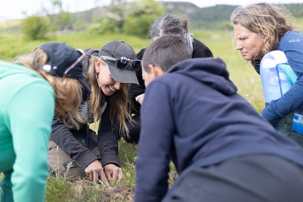 People foraging for pig nuts on a foraging course