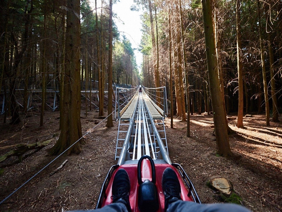 Zip World Betws-y-Coed Fforest Coaster