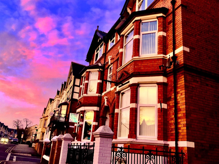 early sunrise on greylands