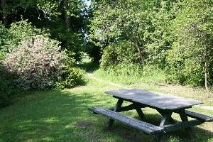 Picnic in the gardens