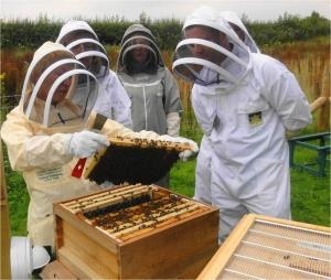 National Beekeeping Centre