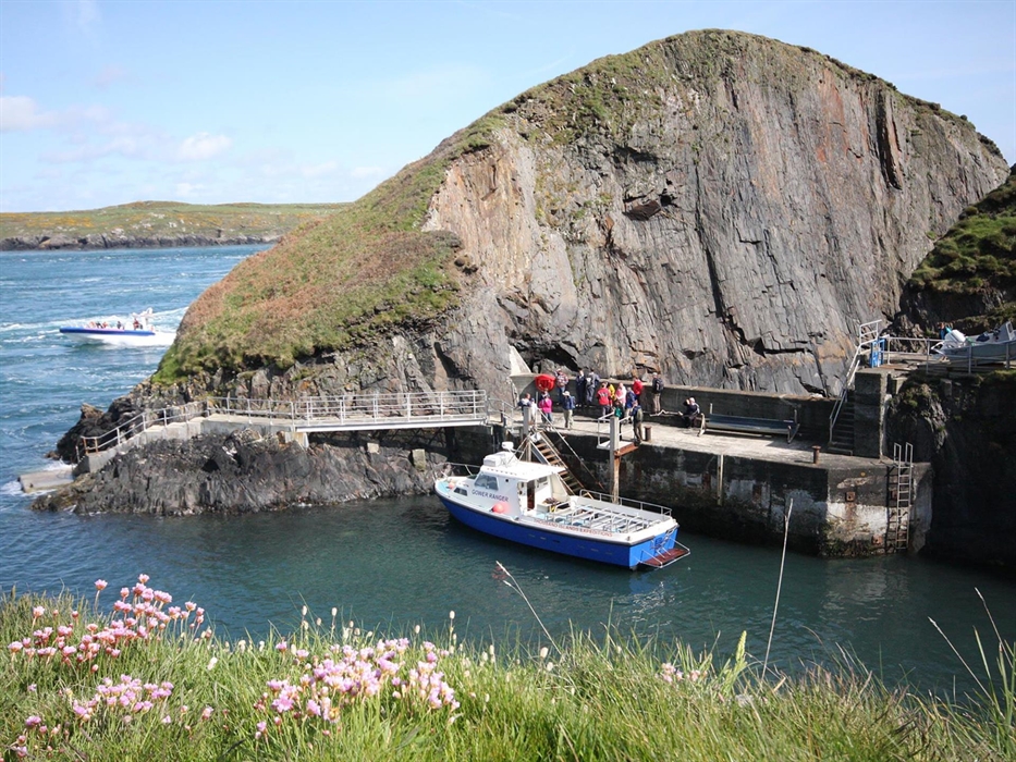 Daily ferry boat to land on Ramsey Island RSPB Nature Reserve.  Dramatic scenery, Choughs and Peregrine falcons.  Seabird colonies on the high cliffs