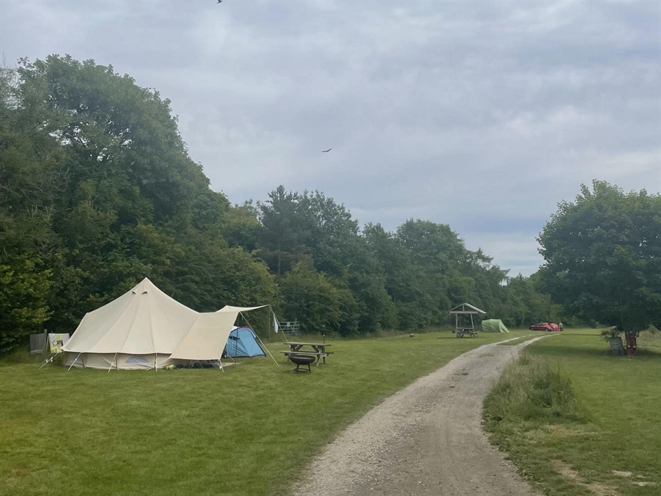 Electric hardstanding field