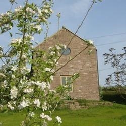 Old King Street Farm