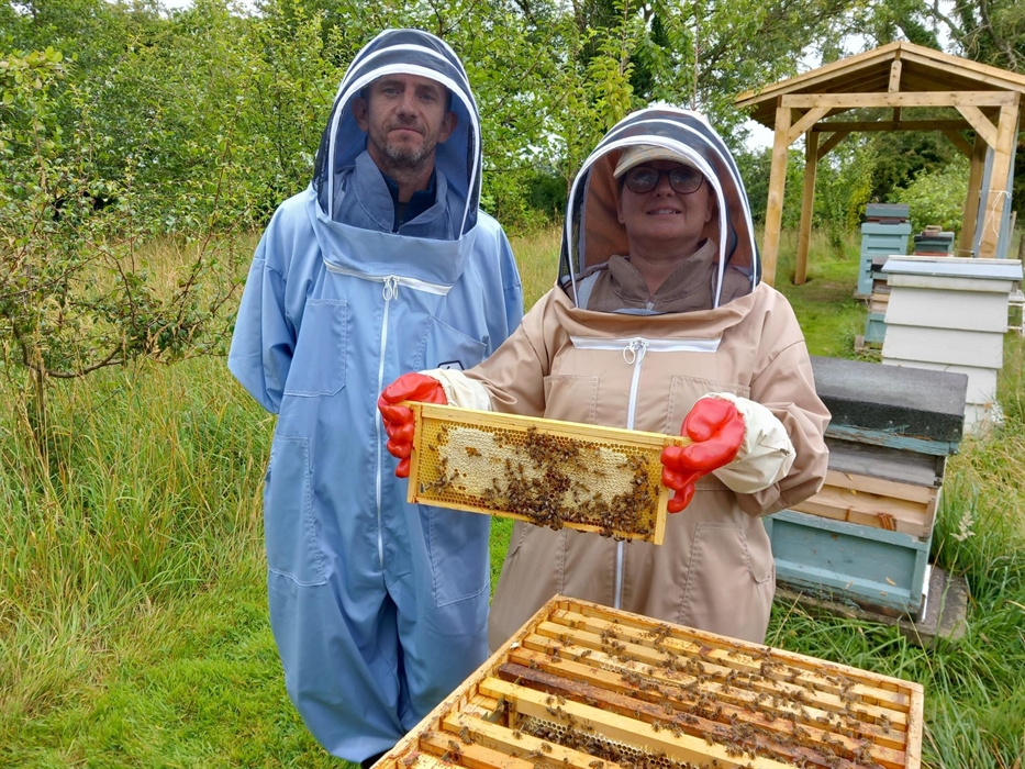 What you see varies with the time of year, from brood in different stages, honey ready for harvesting to preparing the bees for winter.