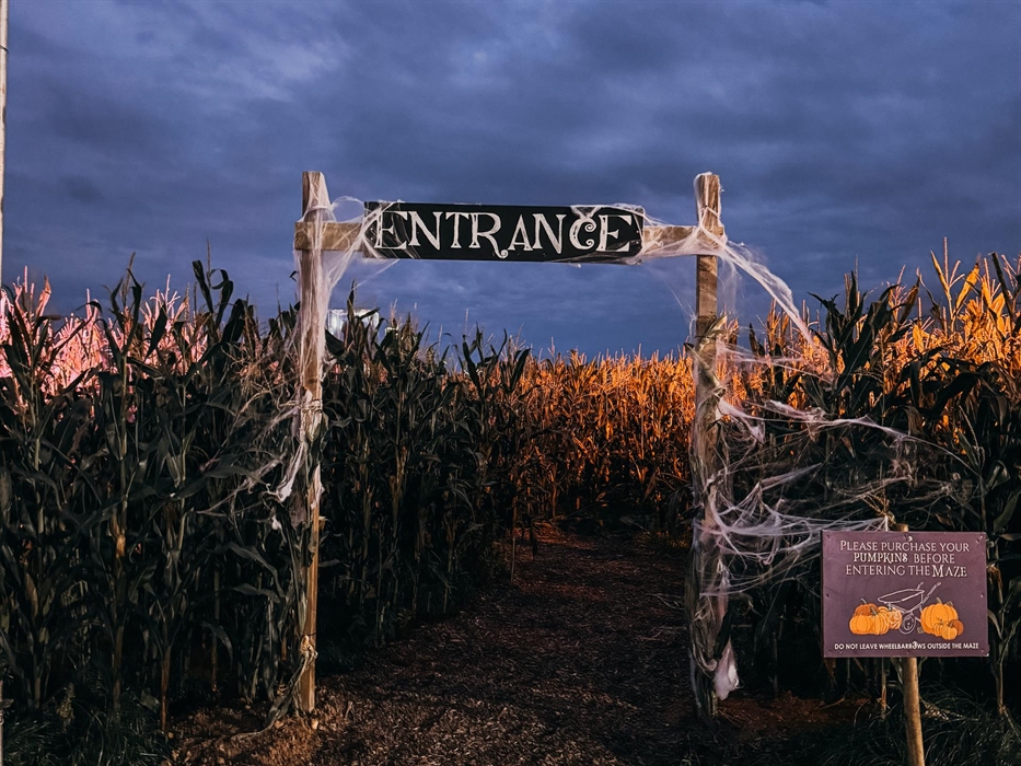 Spooky Maze with Actors