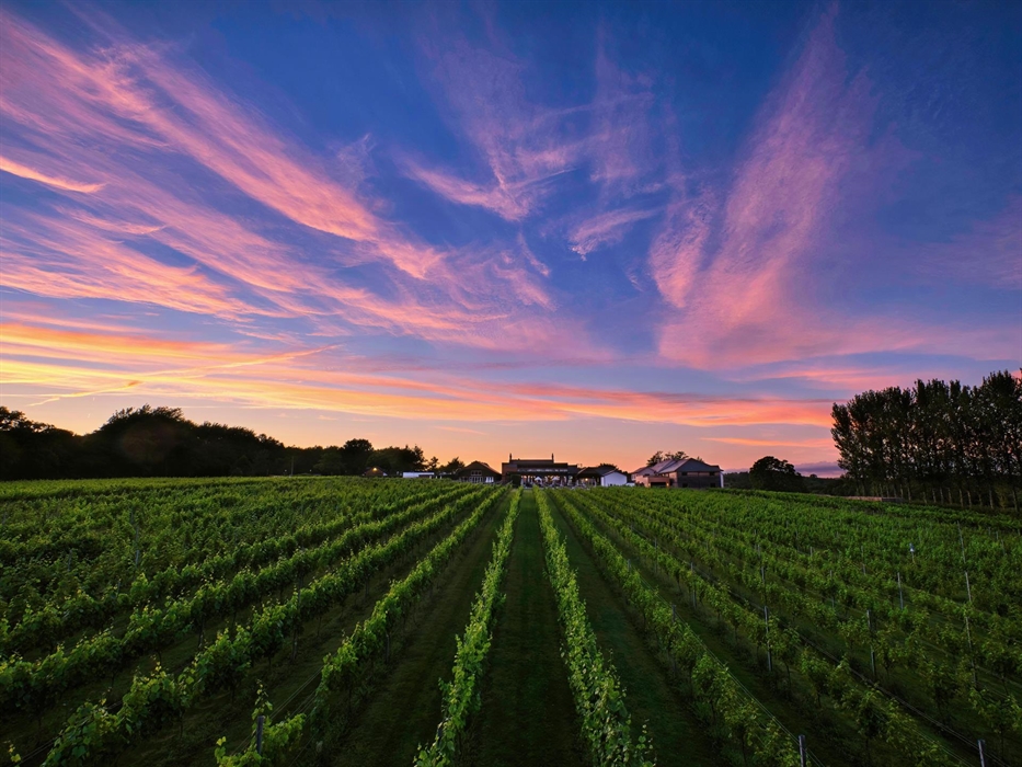 View of Llanerch Vineyard Hotel at dusk from bottom of the vineyard